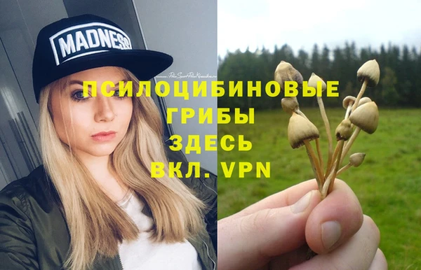 спиды Алзамай