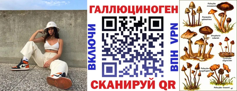 наркошоп  Омутнинск  Псилоцибиновые грибы Psilocybine cubensis 